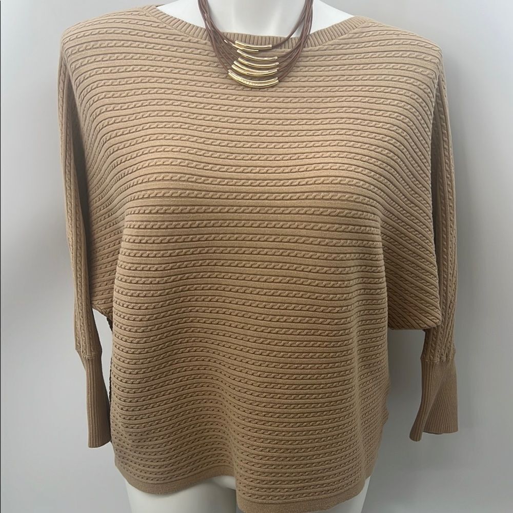Ralph Lauren Black Label Tan Boat Neck Dolman Sleeve Sweater